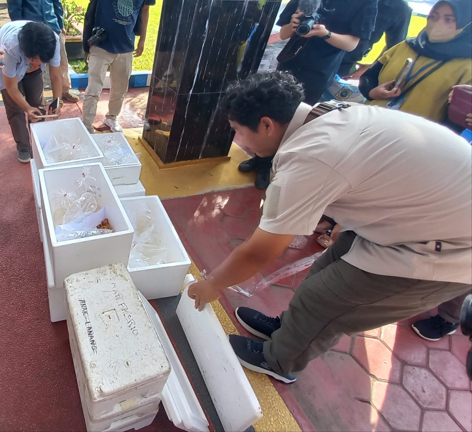 Aksi Penyelundupan 16 Ribu Ekor Baby Lobster ke Luar Cilacap Berhasil Digagalkan, Kerugian Capai Rp 1,6 Miliar
