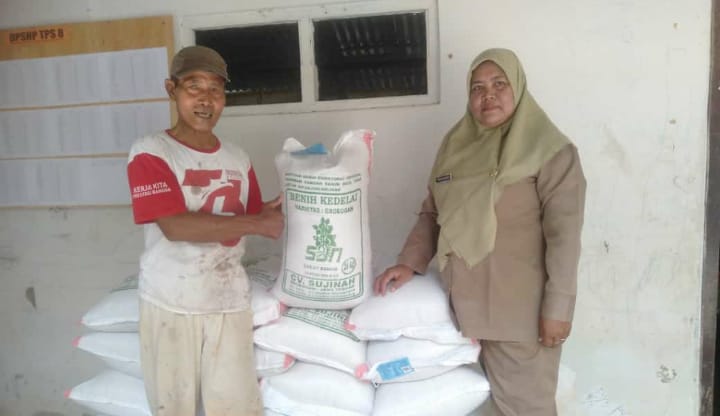 35 Hektare Sawah dapat Bantuan Benih Kedelai