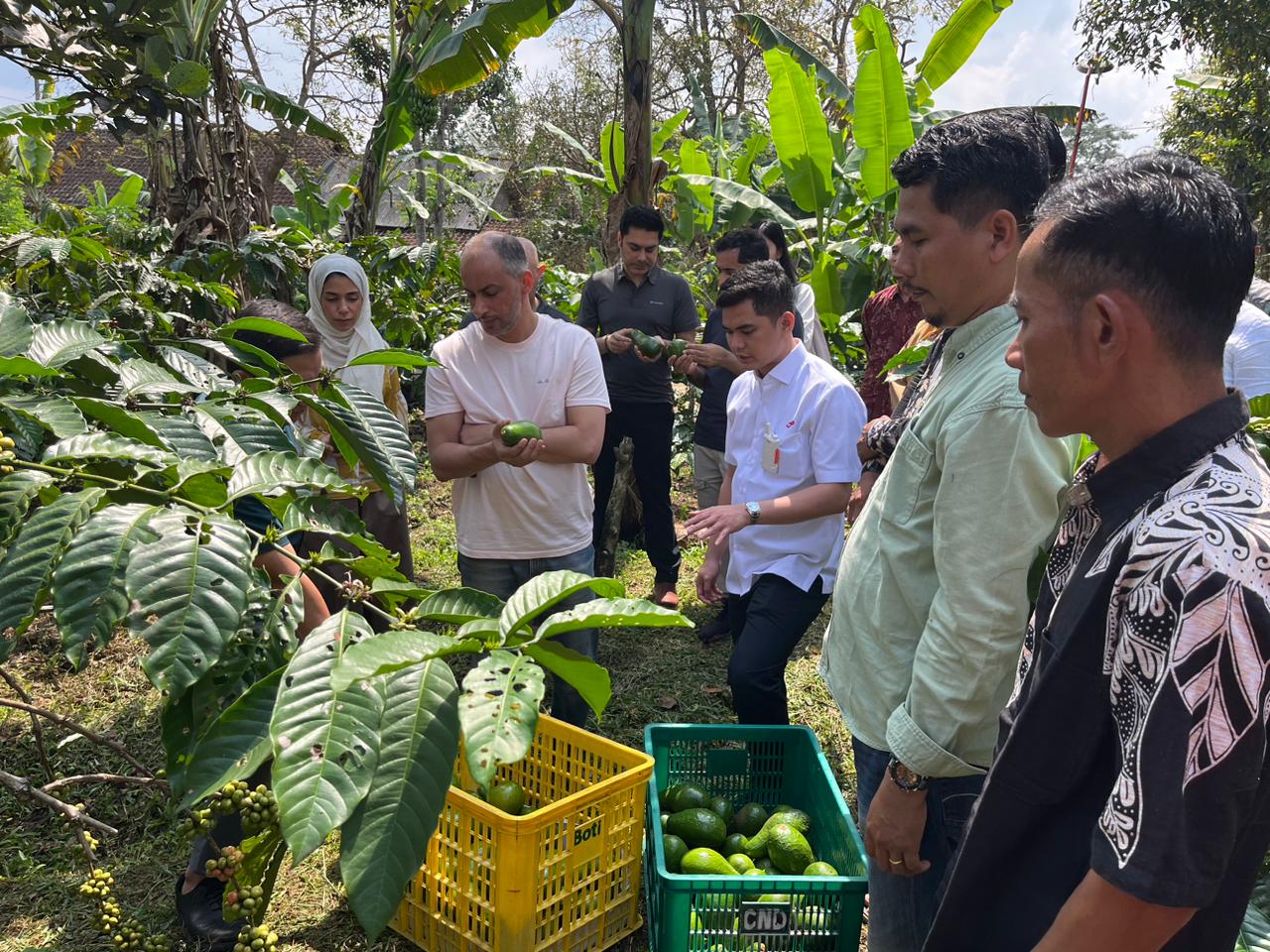 Utusan The Zayed Foundation ke Peron, Ingin Kembangkan Pasar Alpukat-Gula Aren