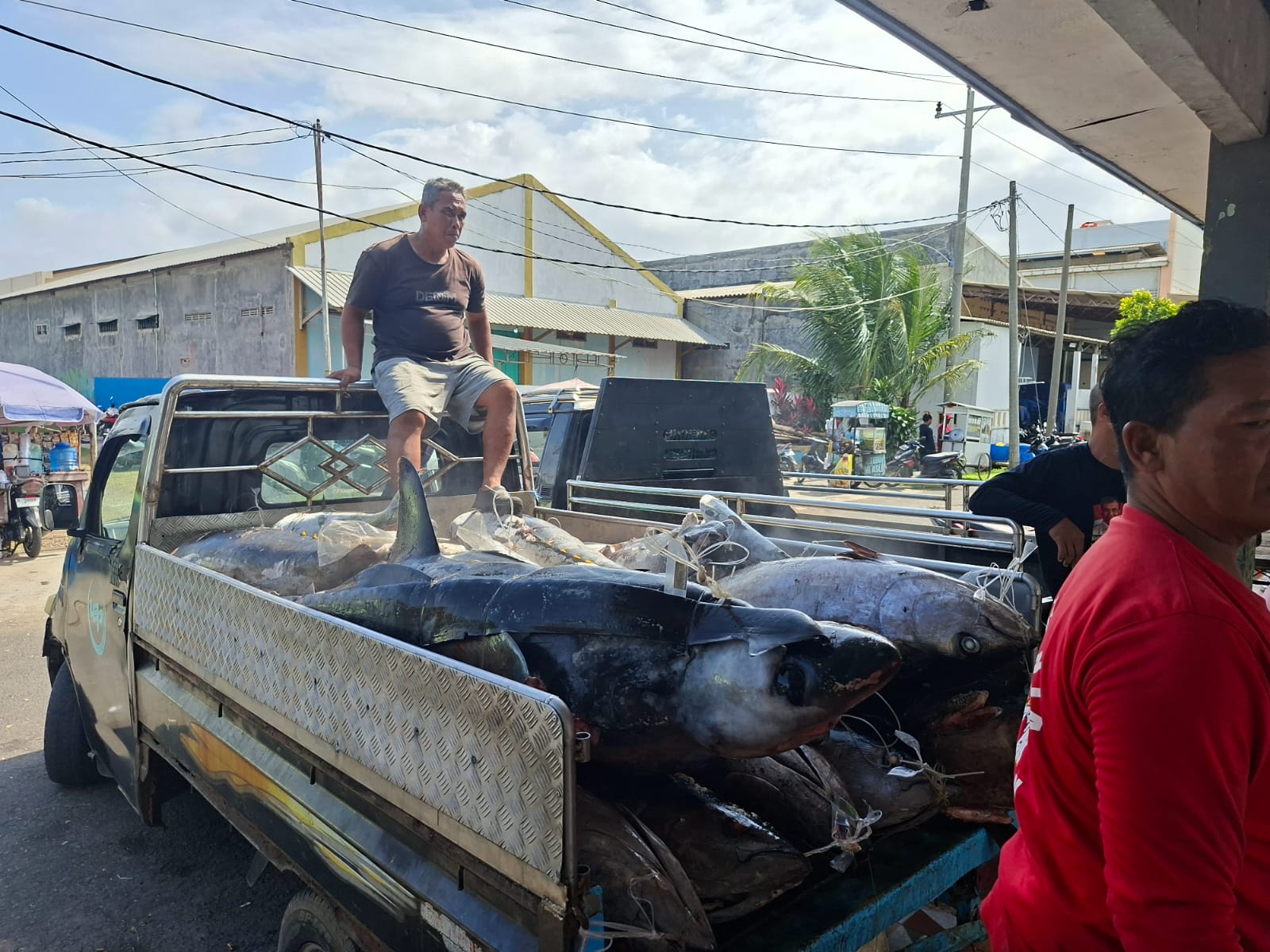 Akibat Ombak Tinggi, Hasil Tangkapan Ikan di PPSC Cilacap Turun hingga 40 Persen