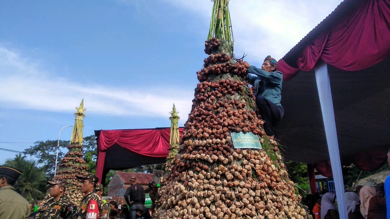 Lestarikan Tradisi, Grebeg Ribuan Ketupat Slamet di Binangun