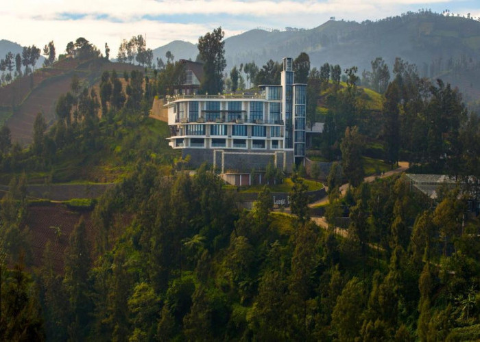 Rekomendasi Hotel dekat Dengan WIsata Taman Safari Bogor