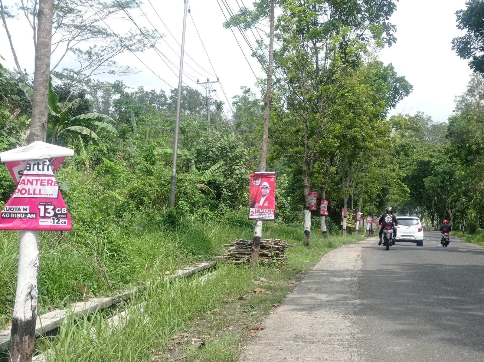 Reklame dan APK Caleg Terpaku di Pohon Masih Ditemui, Satpol PP : Penertiban Komando dari Bawaslu