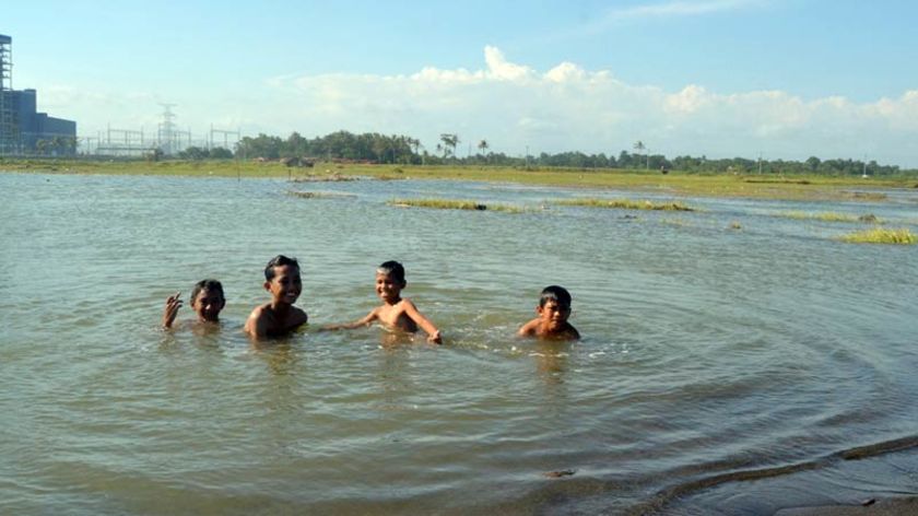Air Laut Hantam Puluhan Hektar Sawah di Bunton Cilacap