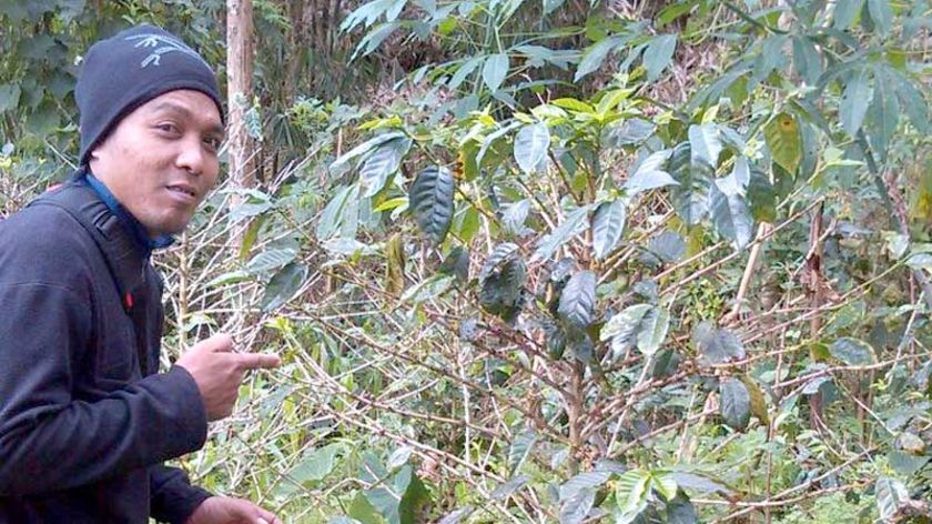 Arief Hutipat, Pegiat Kopi Purwokerto Fokus Melakukan Edukasi ke Petani Kopi