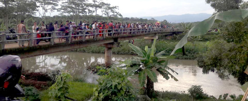 Buaya Bergeser ke Jembatan Nusawungu