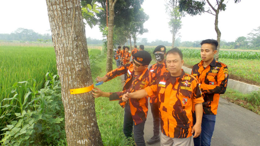 Cegah Lakalantas, PP Kutasari Purbalingga Pasang Ratusan Scotlight di Pohon