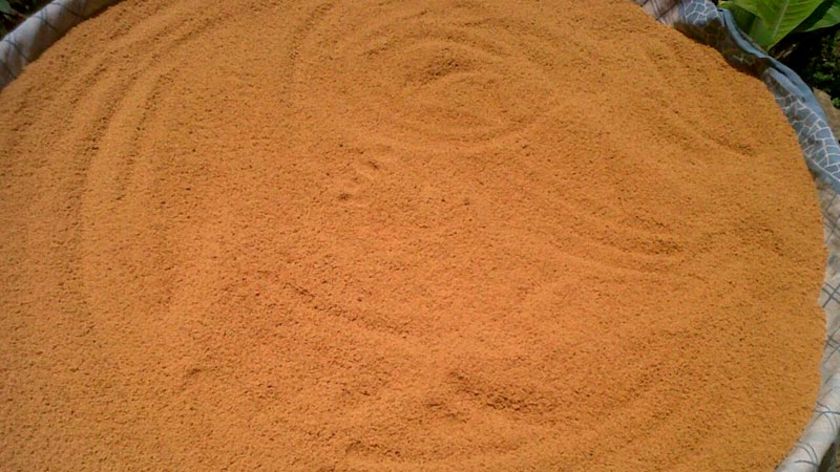 Peluang Emas Optimalkan Potensi Gula Kristal Banyumas Untuk Penuhi Permintaan Pasar