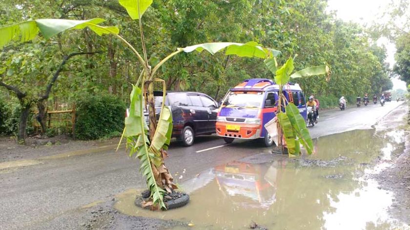 Jalan Desa Banteran Rusak, Warga Kembali Tanam Pohon Pisang