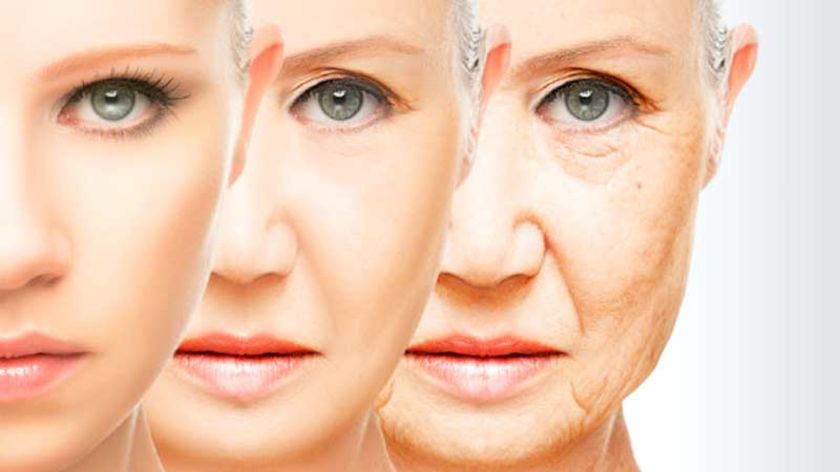 Kenali Suplemen Anti Aging yang Anda Konsumsi