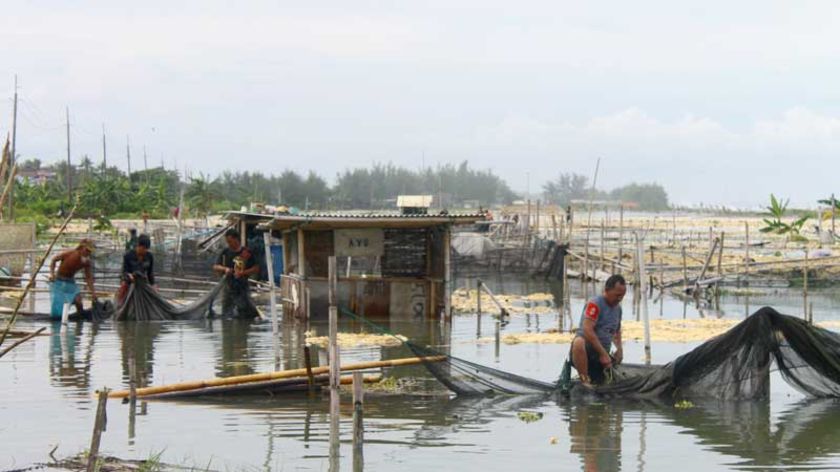 Kerugian Banjir Rob Capai Rp 40 M, Tegal Kamulyan Paling Parah