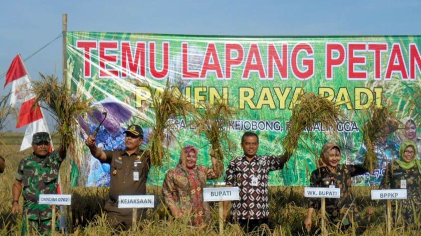 Kondisi Lahan Tandus, Enam Desa di Kejobong Purbalingga Tak Punya Sawah