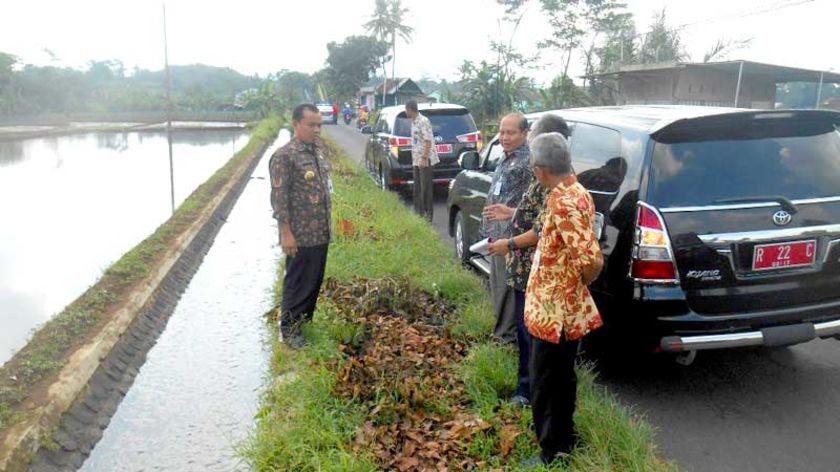 Penebangan Pohon untuk Pelebaran Jalan Raya Kutasari Purbalingga Rawan Diselewengkan