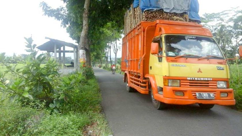 Jalan Sempit, Pengajuan Penebangan Pohon Jalur Karanggambas - Karangaren Purbalingga Ditolak