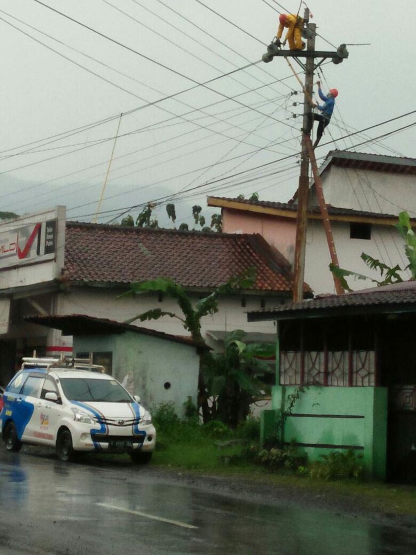 Aliran Listrik Padam di Pekuncen Akibat Pohon Tumbang