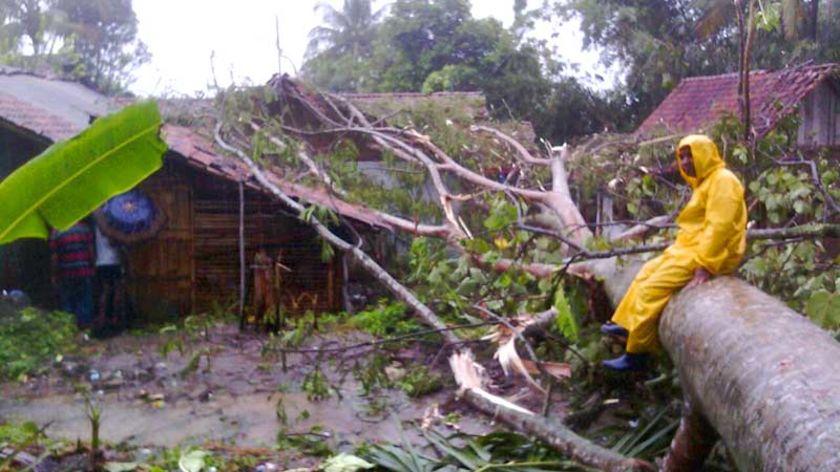 Hujan Disertai Angin Kencang di Pekuncen Tumbangkan Pohon dan Rusak Rumah Warga