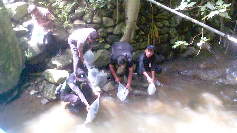 Berikut Cara Menangkap Ikan di Sungai yang Dianggap Ilegal dan Bisa Kena Denda Sampai 1.2 M