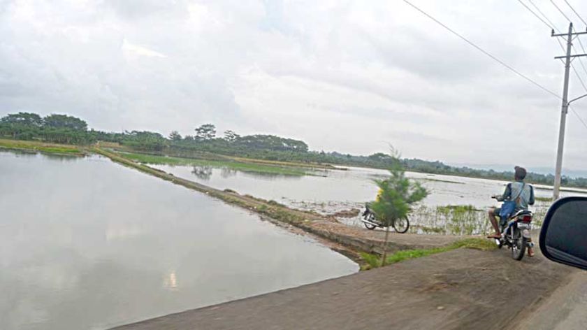 Banjir Rob Lewati Tanggul Pantai Selatan Rendam Dusun Bogemanjir & Bunton