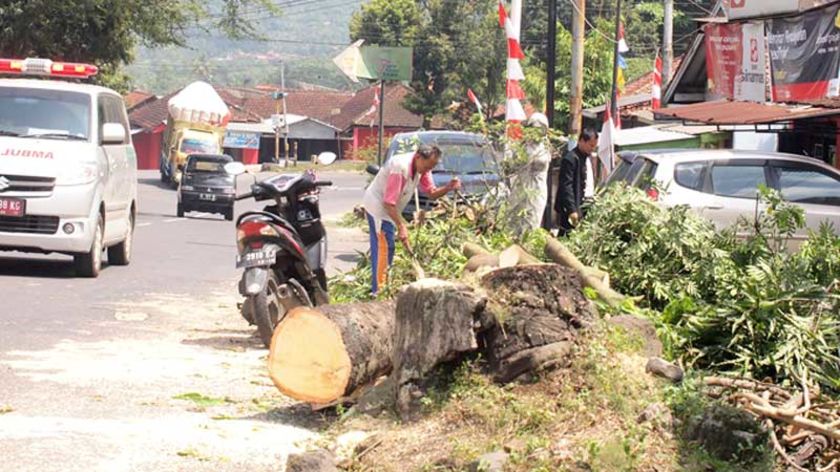 Waspada! Tikungan Pasar Hewan Ajibarang Rawan Kecelakaan