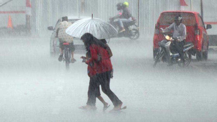 Angin Besar Akibat La Nina, Waspadai Pohon Tumbang