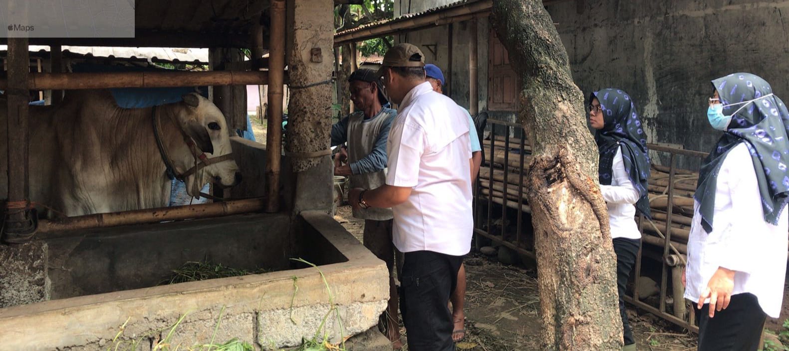 Jelang Kurban, Pengawasan SKKH di Wilayah Diperketat