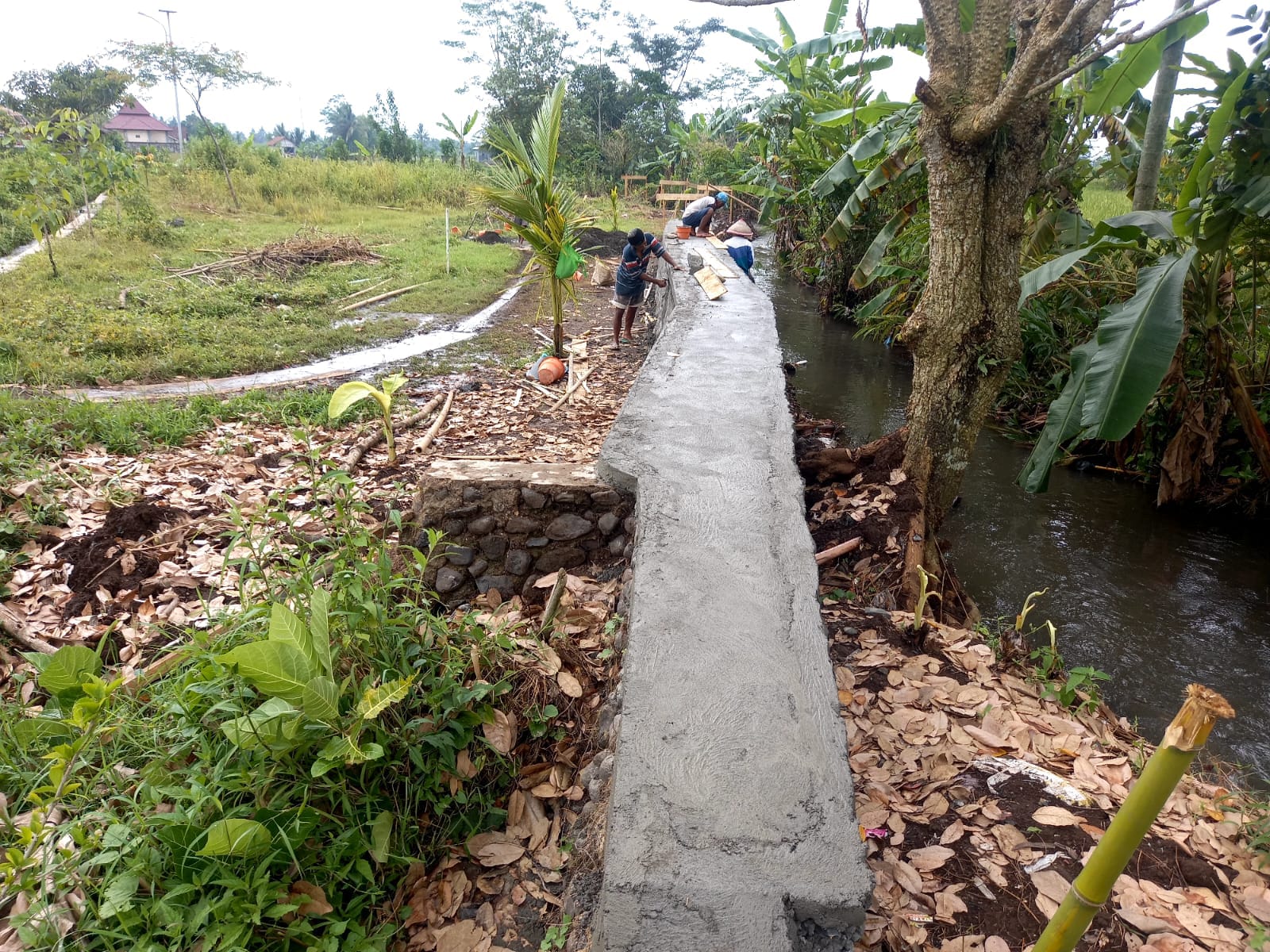 Dampak Aliran Sungai Grinsing Meluas, Desa Gemuruh Bangun Talud Ratusan Juta