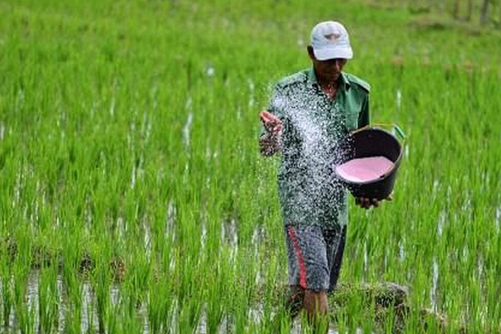 Ingin Punya Modal untuk Beli Bibit dan Pupuk, Petani Bisa Ajukan KUR Mandiri dengan Syarat Ini