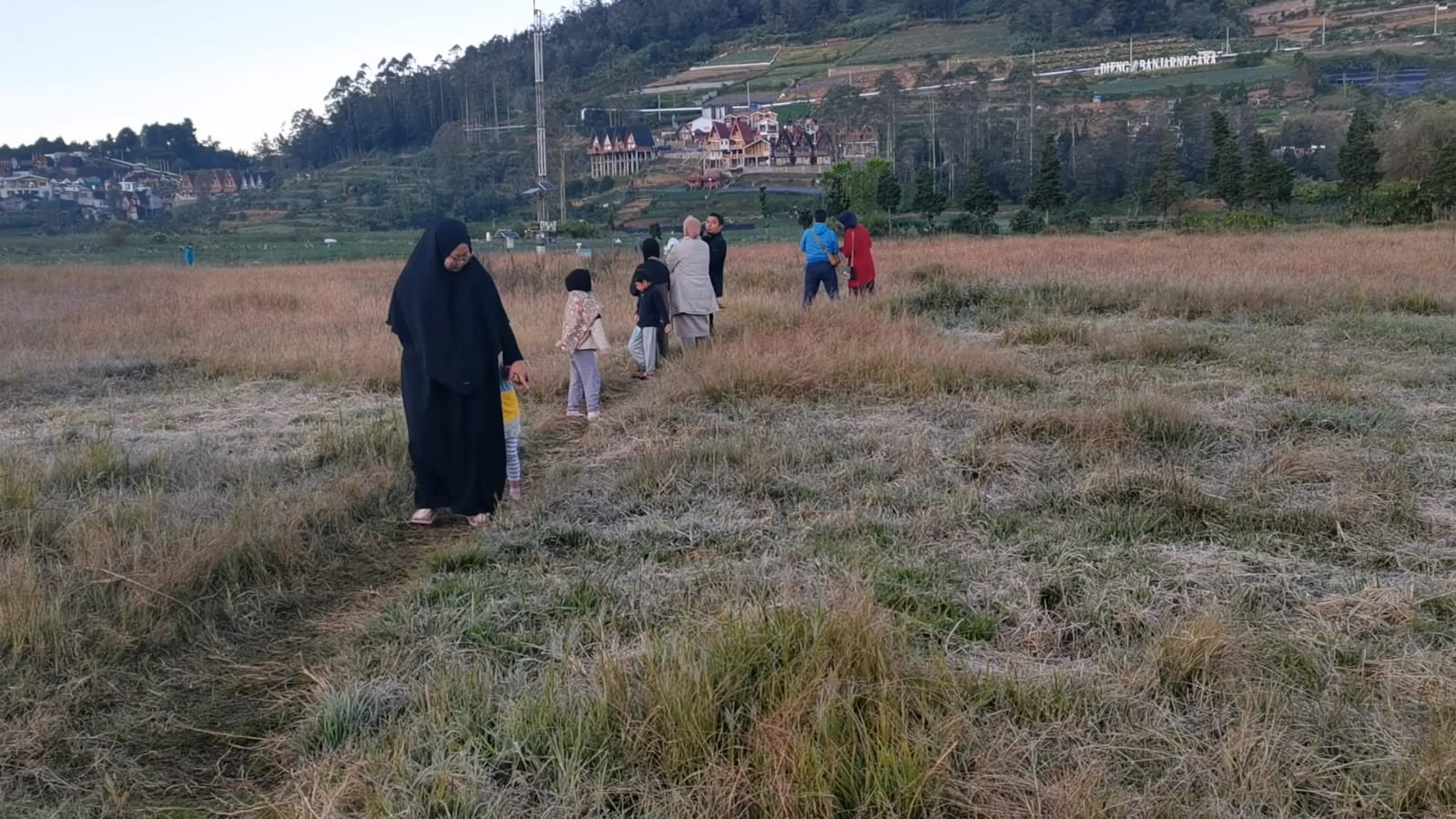 Suhu di Dieng Turun ke 0 Derajat, Embun Es Muncul Pagi Ini