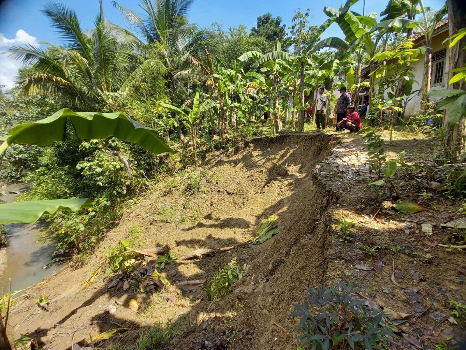 Tebing 20 Meter Longsor, Ancam 2 Rumah Warga di Karangbawang Ajibarang 