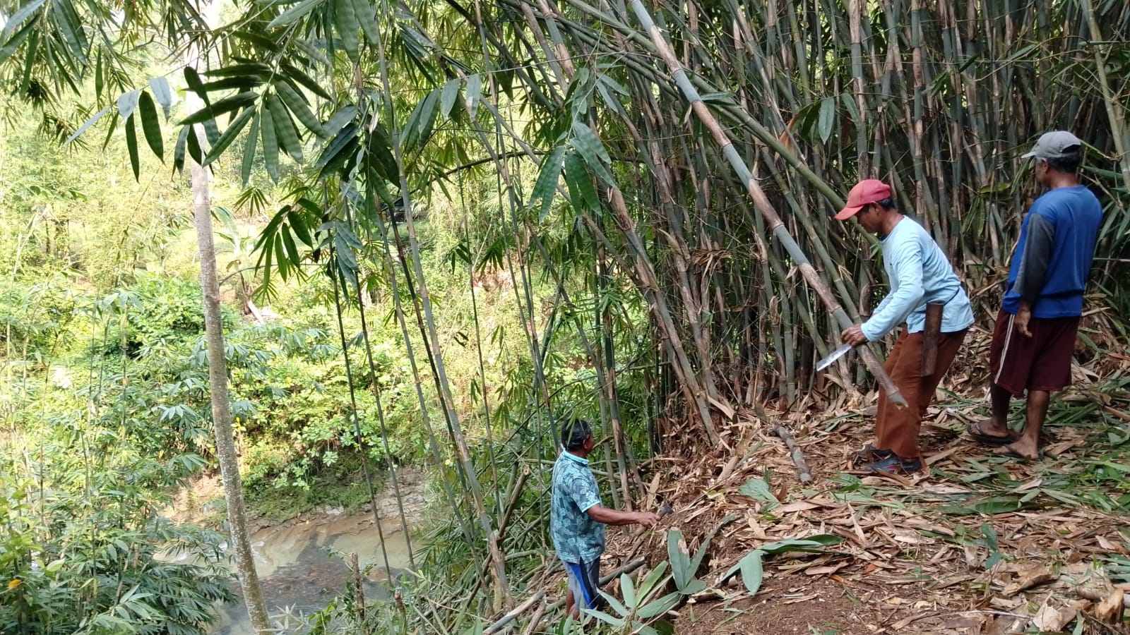 Warga Bersihkan Lokasi Jembatan Gantung Selanegara Banyumas, Akses Penghubung Baru Mulai Dipersiapkan