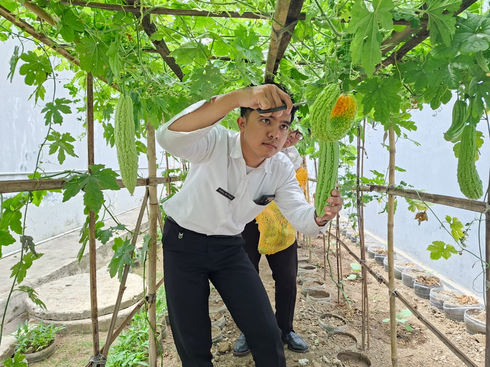 Pembinaan Kemandirian, Rutan Kebumen Budidayakan Pare
