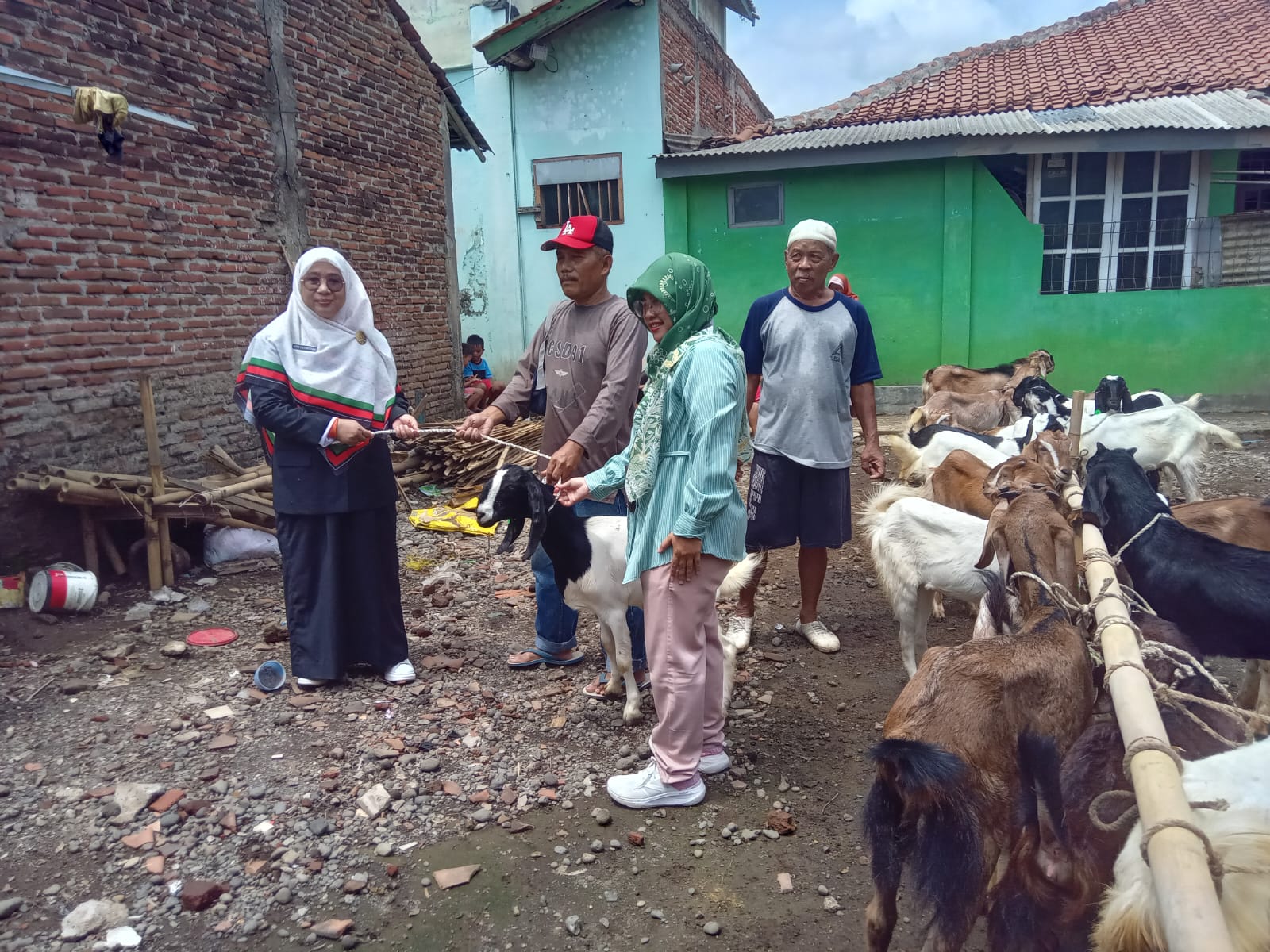 Atik Luthfiyah Dorong Pertumbuhan Ekonomi Keluarga Lewat Penyaluran 22 Ekor Kambing 