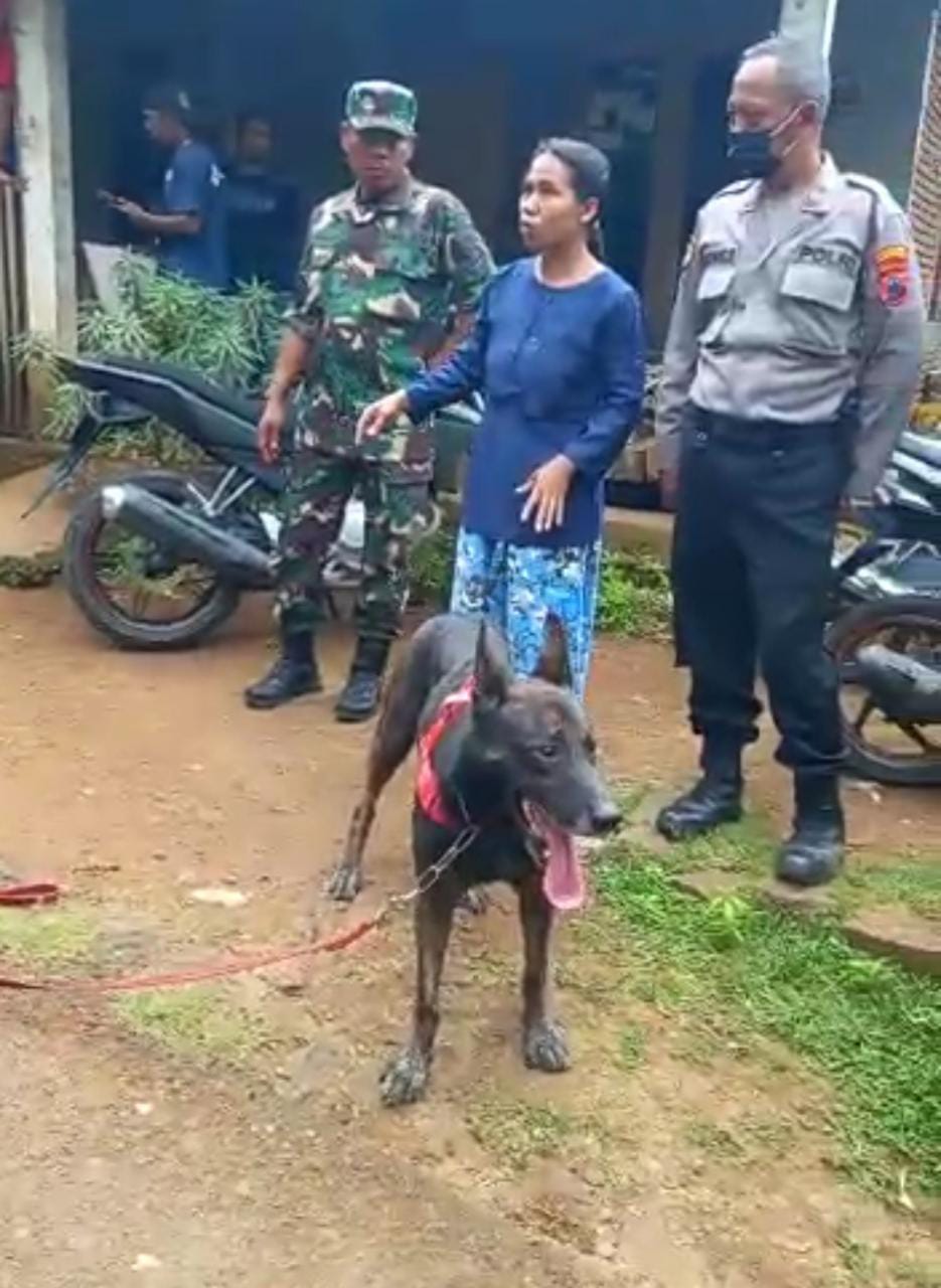 3 Hari Menghilang, Anjing Pelacak Dikerahkan Mencari Wasroh, Warga Karangkemiri Pekuncen  