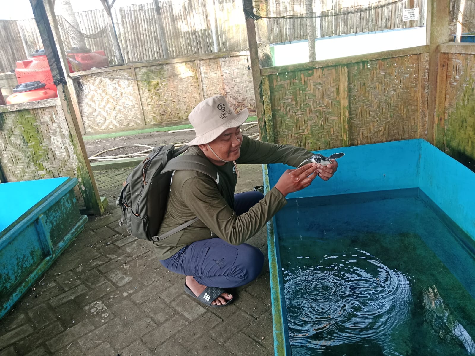 Konservasi Nagaraja Selamatkan 39 Penyu dan 2.600 Tukik di Pantai Sodong Cilacap