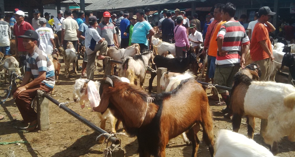 Jelang Iduladha, Pasar Kambing Karangpucung Cilacap Perluas Area