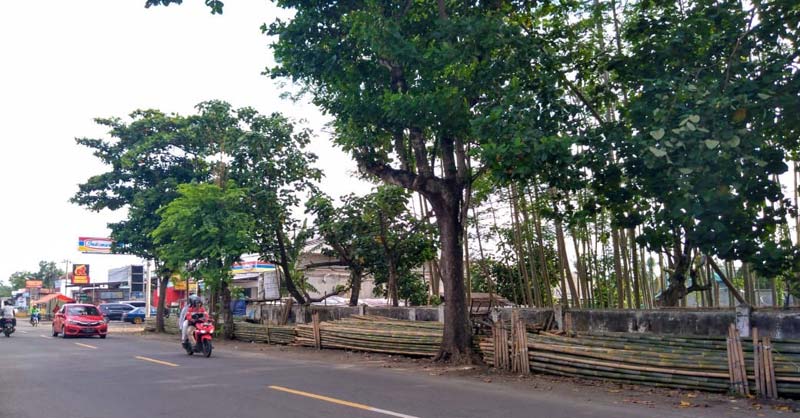 Terminal Sokaraja Mendesak Dibangun