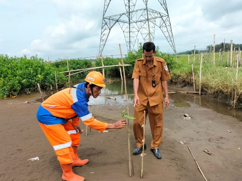 Penanaman Mangrove Dapat Meminimalisir Abrasi Pantai 