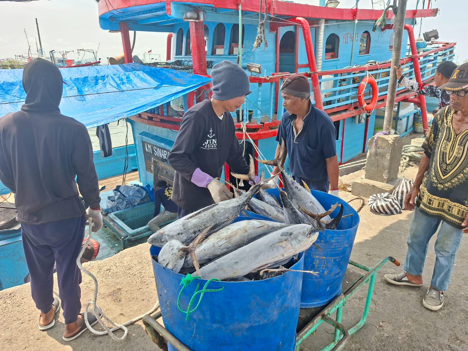 Panen Raya Tiga Jenis Ikan di Cilacap: Kakap, Kerapu, dan Balong Melimpah, Pasar PPC Dibanjiri Pembeli
