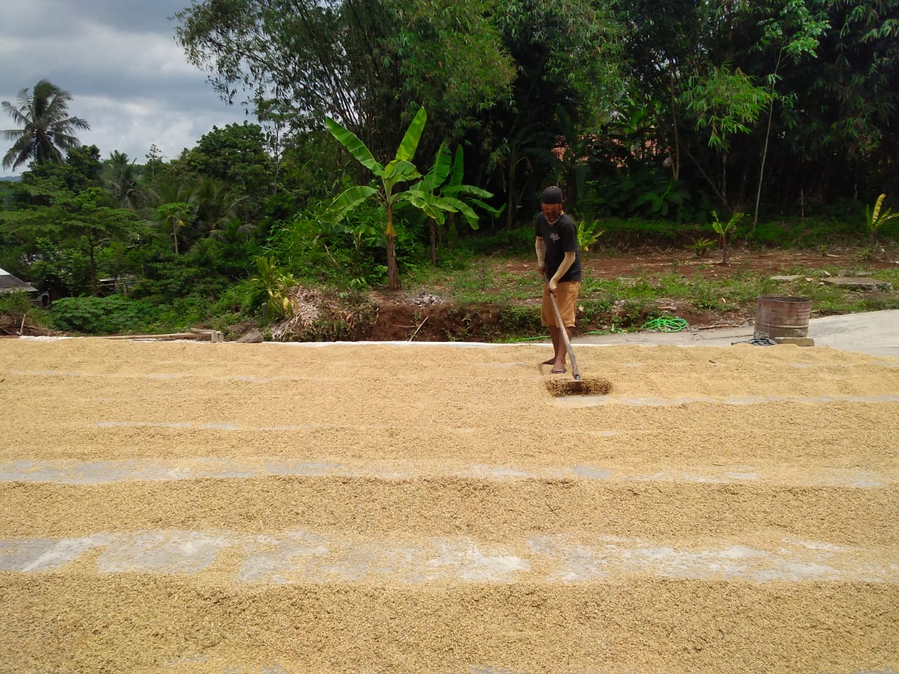 Dinpertan KP Banyumas Dorong Pemuda Banyumas Bertani