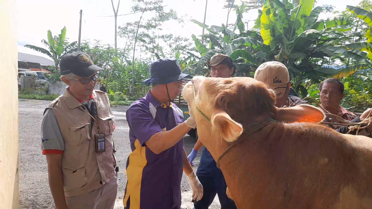 Antisipasi Wabah PMK, Banjarnegara Perketat Pengawasan Ternak