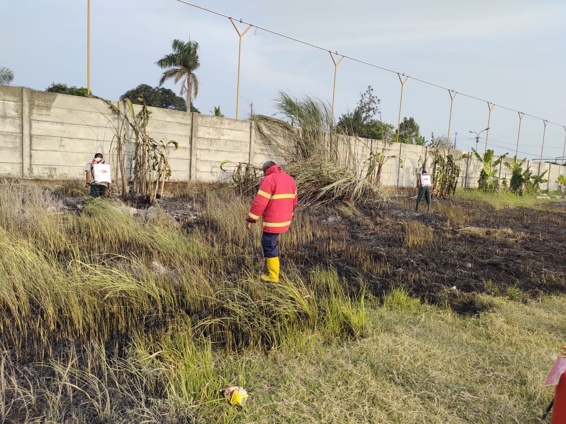 Lahan Kosong Milik PT KAI Kelurahan Tambakreja, Cilacap Terbakar, Diduga karena Ada yang Bakar Ayam di Lokasi