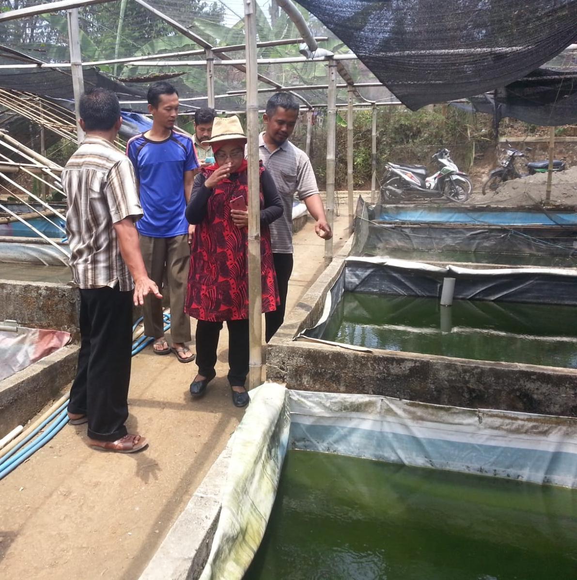 98 Unit Budidaya Ikan di Banyumas Memiliki Sertifikat Budidaya Ikan Skala Mikro dan Kecil