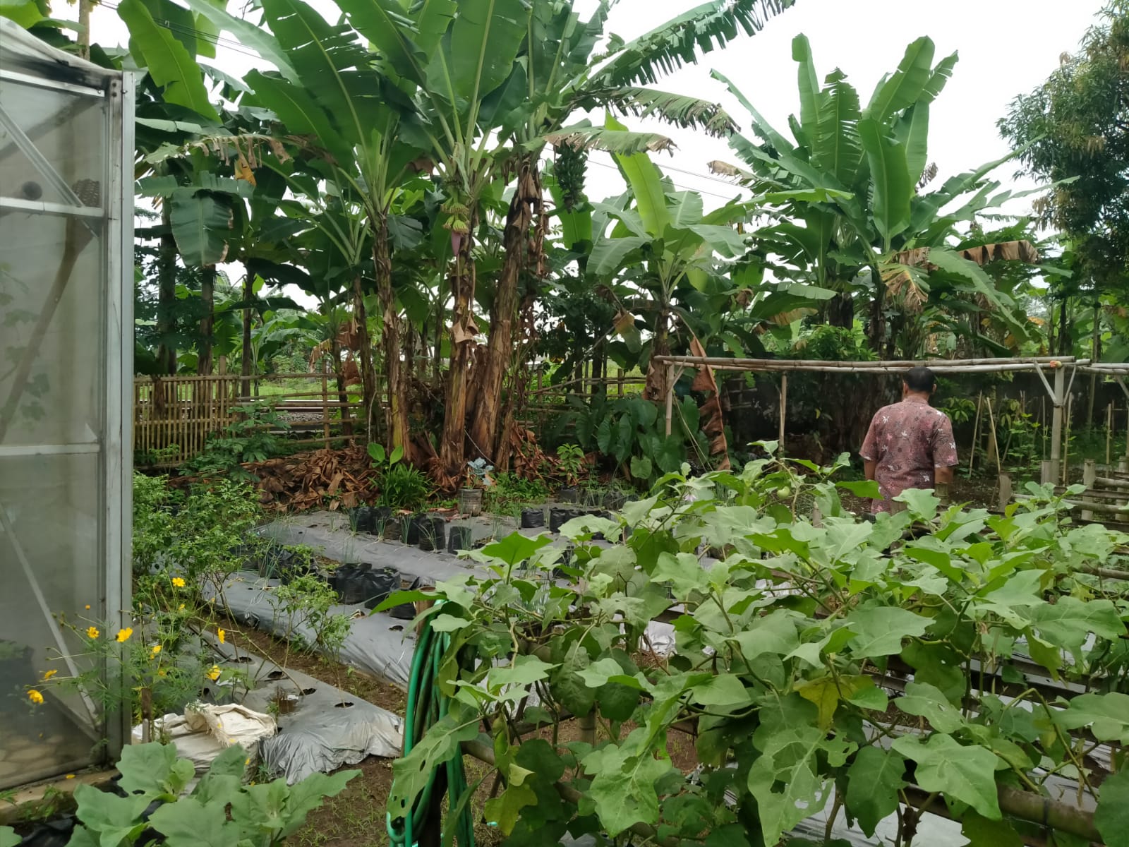 Tembok Keliling Ambruk Kelurahan Bantarsoka Belum Ditangani Permanen