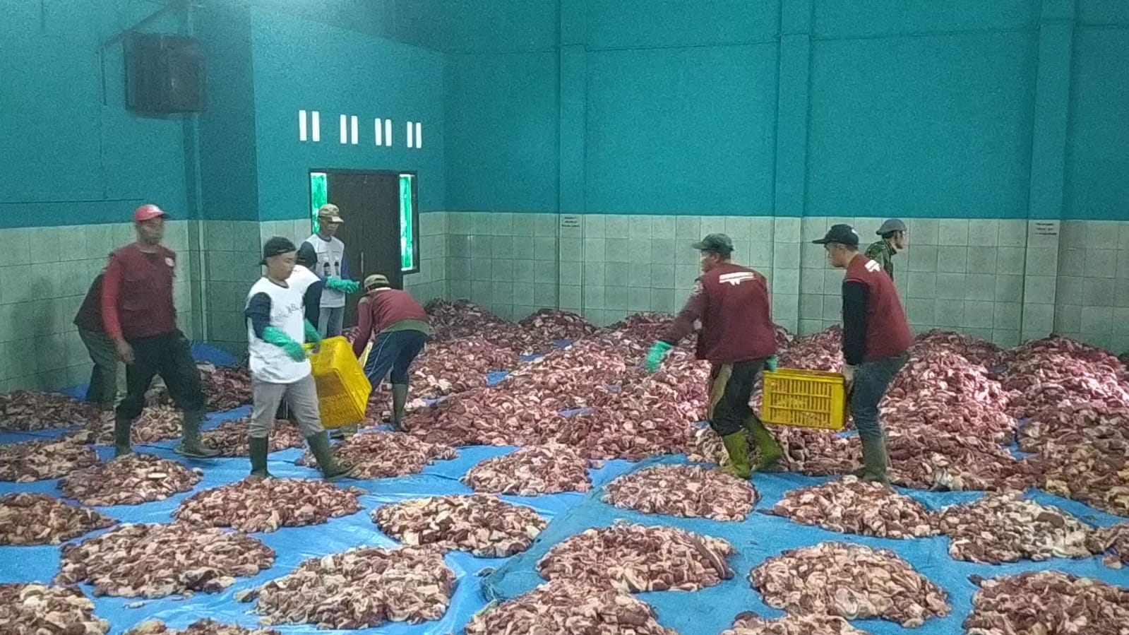 Dusun Krajan Banjarnegara Kembali Kebanjiran Daging Kurban, 344 Hewan Disembelih Dalam Sehari
