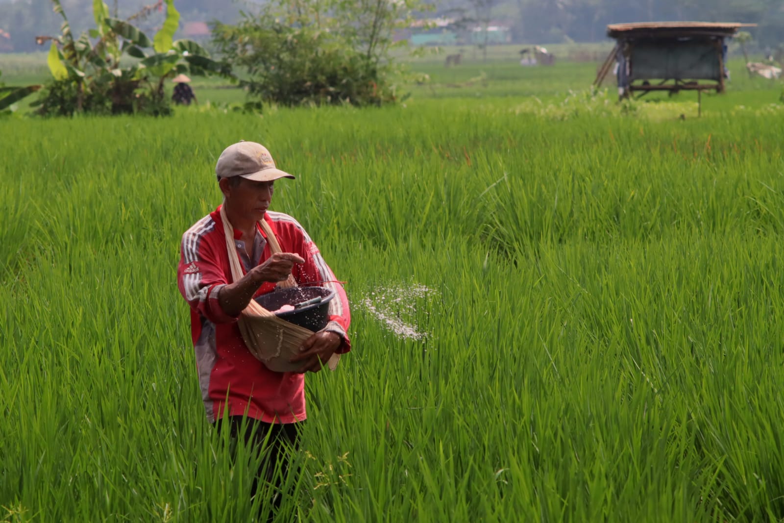 Tahun 2023,  DPRD Banyumas : Perlu Perkuat Ketahanan Pangan