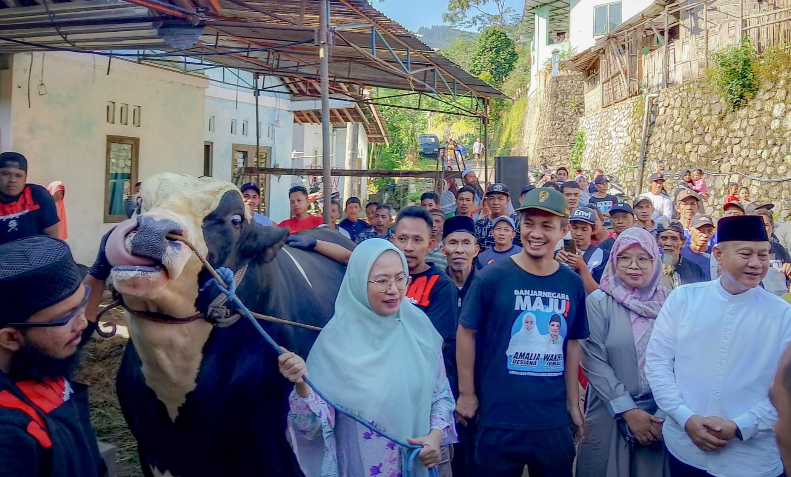 Banjarnegara Dapat Sapi Kurban 1,2 Ton dari Presiden Prabowo