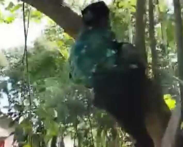 Dugaan Bullying Kembali Terjadi di Cilacap, Korban Diduga Depresi hingga Meninggal