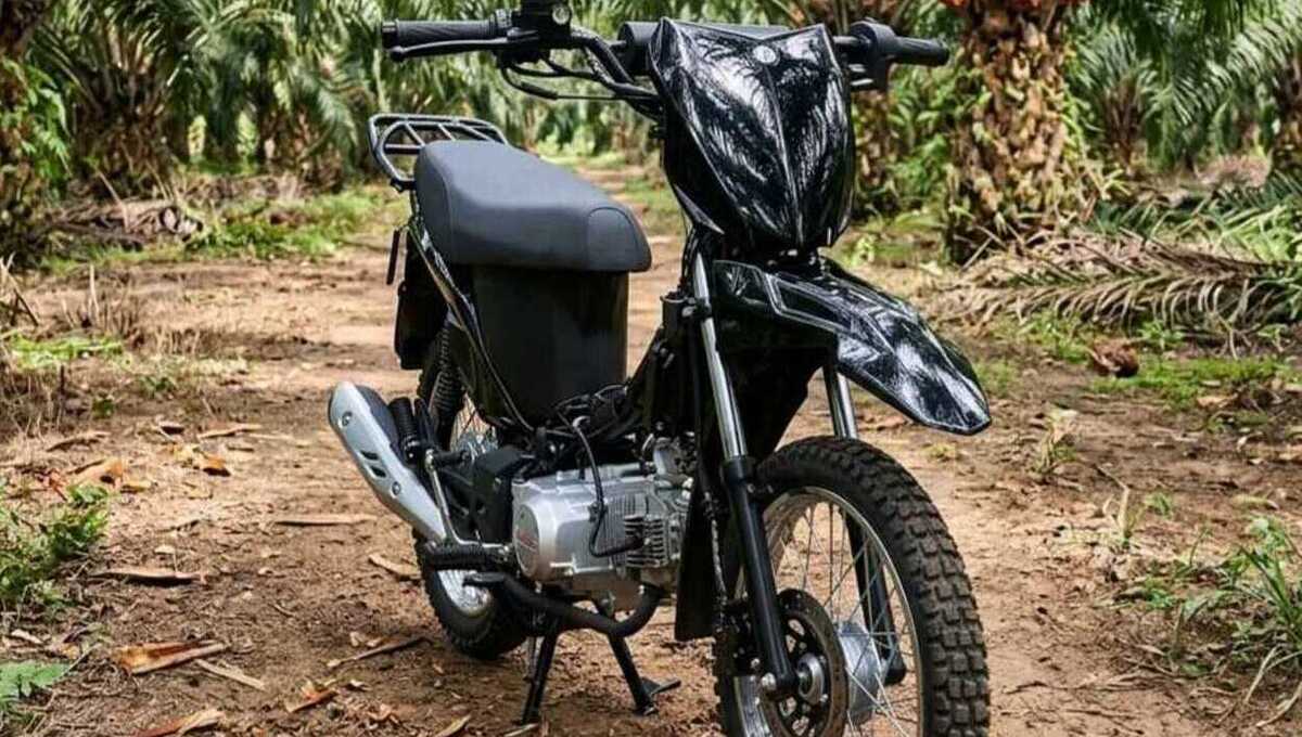 Motor Rp13 Jutaan Ini Bisa Bawa 200 Kg, Viar R2K Cocok untuk Petani
