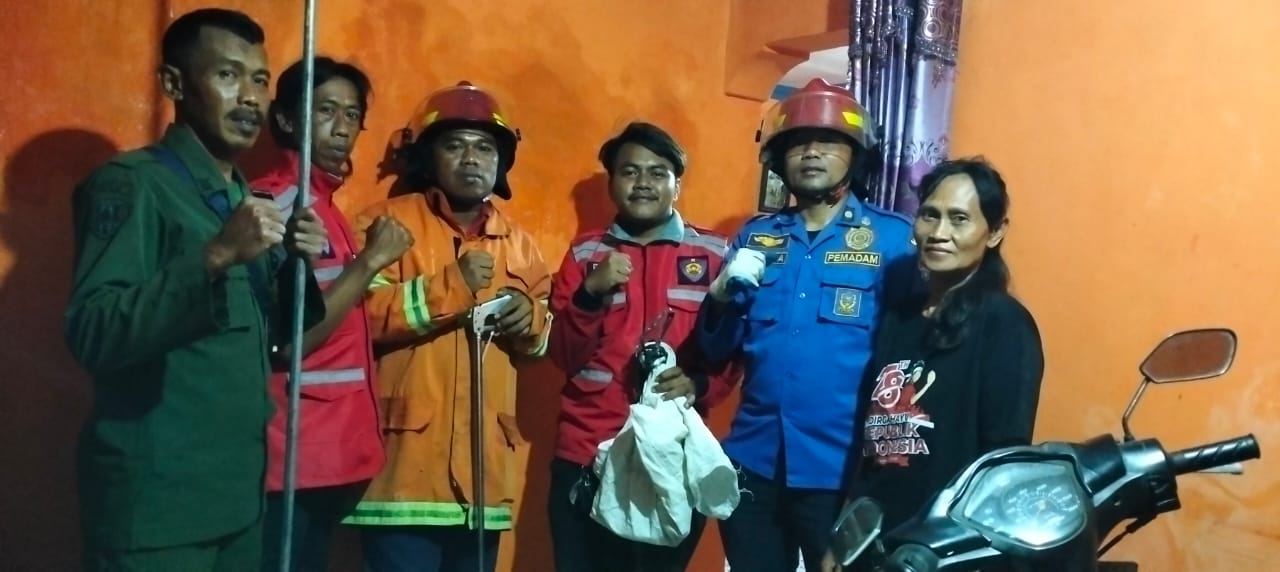 Ular Kobra Masuk Rumah, Warga Jalan Singalodra Panggil Damkar Cilacap