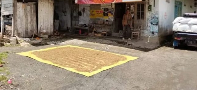 Penggilingan Padi Pasok Beras ke MBG Wajib Kantongi NIB